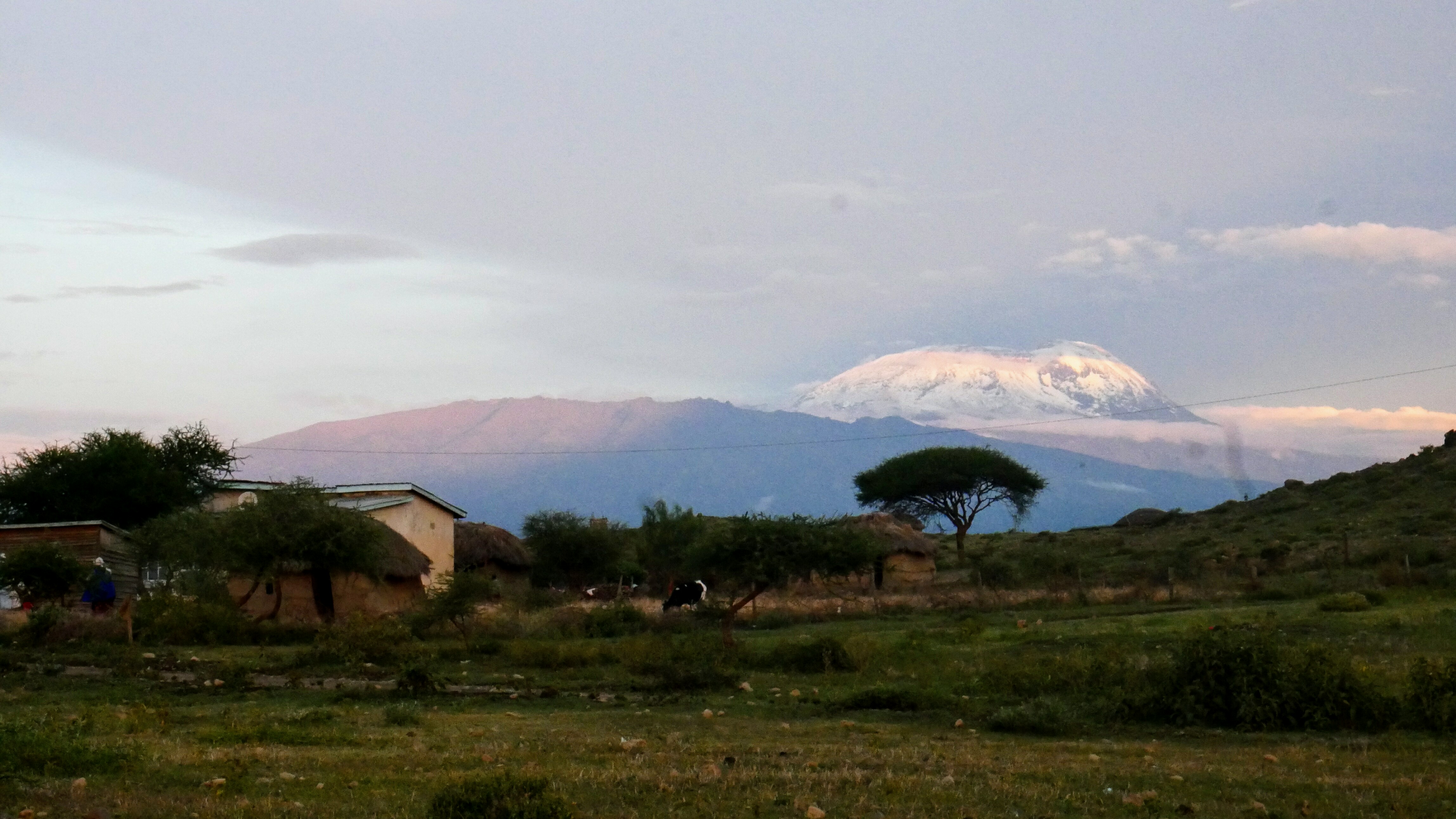 Kilimanjaro vu depuis le village